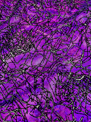 Nylon Spandex 4 ways Stretch Hologram Foil & Black Flocking with Silver Glitters Fabric