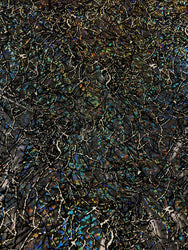 Nylon Spandex 4 ways Stretch Hologram Foil & Black Flocking with Silver Glitters Fabric