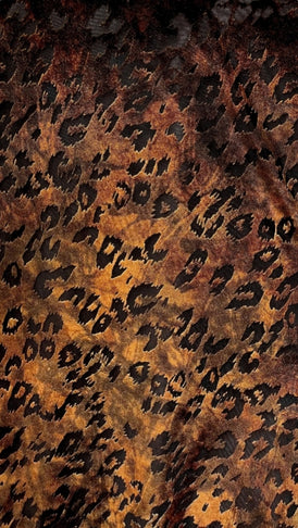 brown-l-667-m