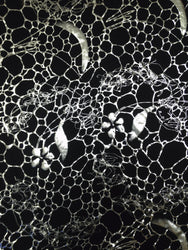 Polyester Spandex 2 Ways Stretch With Silver Floral & Geometric Foil Design